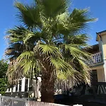 Apartmán Plavo Sidro Vir