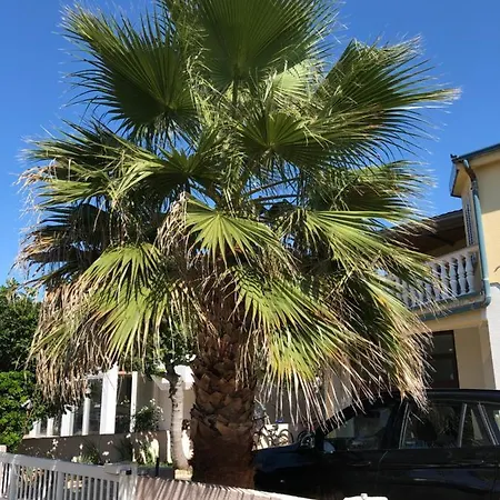 Appartamento Plavo Sidro Vir