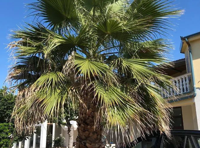 Apartmán Plavo Sidro Vir